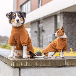 Trixie CityStyle Amsterdam Sweatshirt Til Hund i Farven Rust